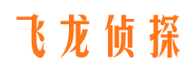 团城山侦探